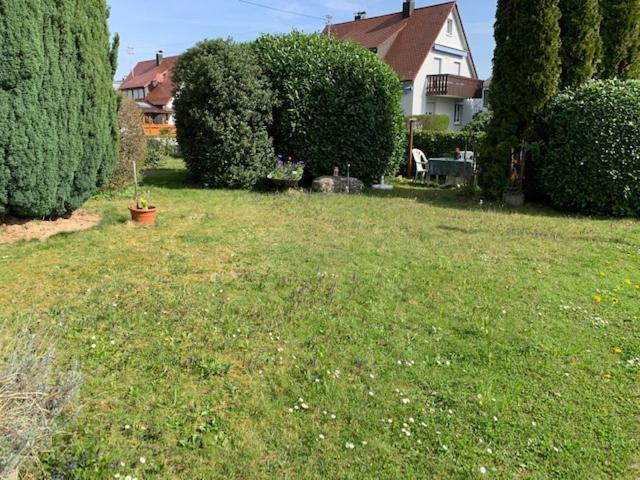 BodenSEE Apartment La Musica Meckenbeuren Exterior foto